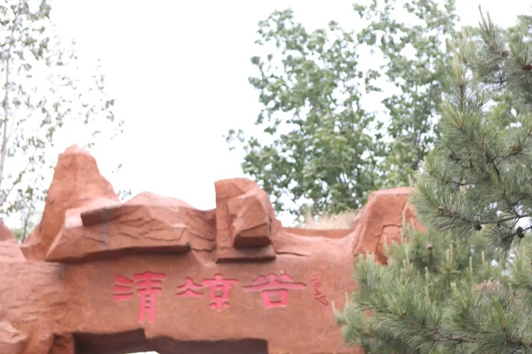 立足當“夏”,覓清涼 | 社科賽斯考研“清涼谷”團建之旅!